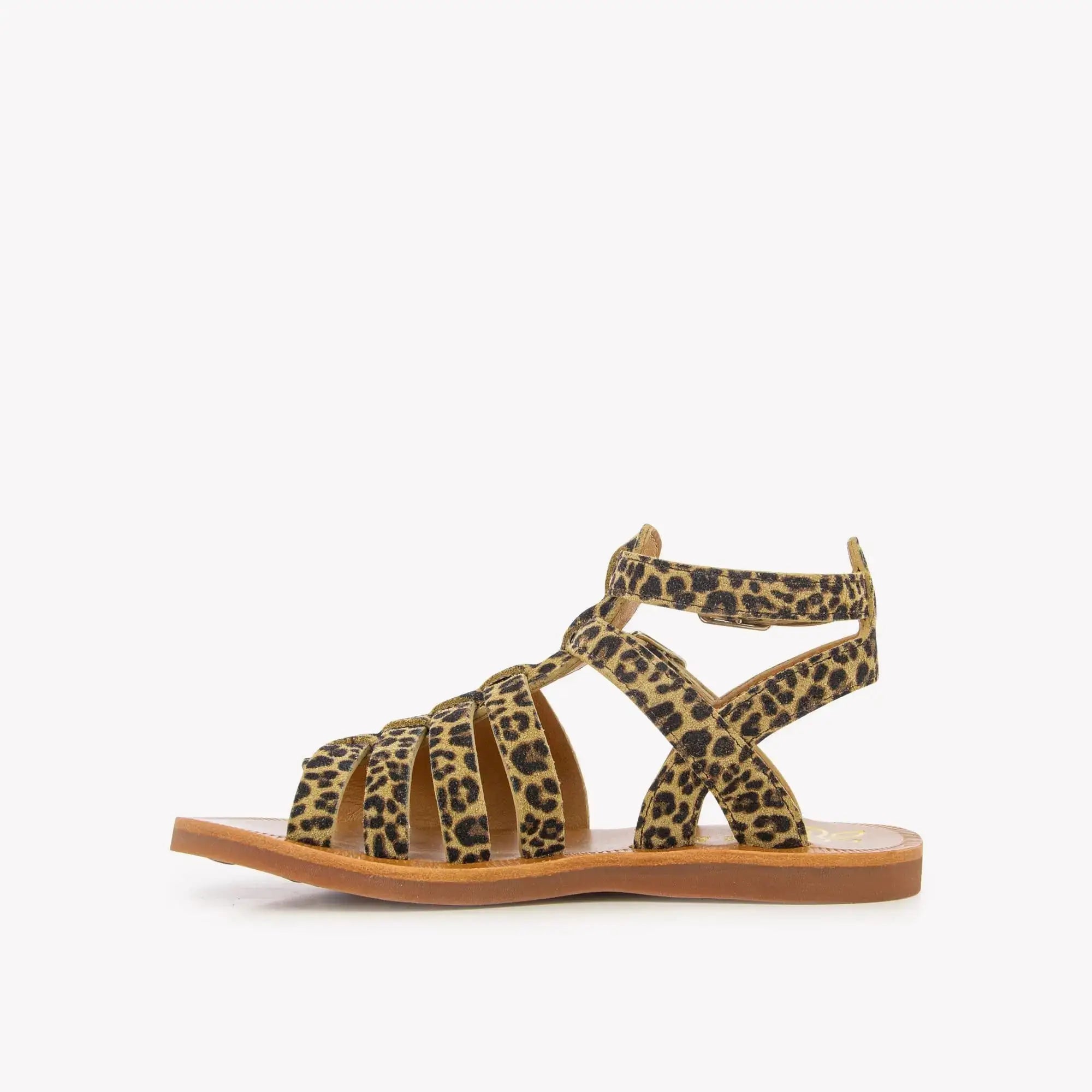 pom-d-api-plagette-gladiator-sandale-sahara-mini-leo image 3